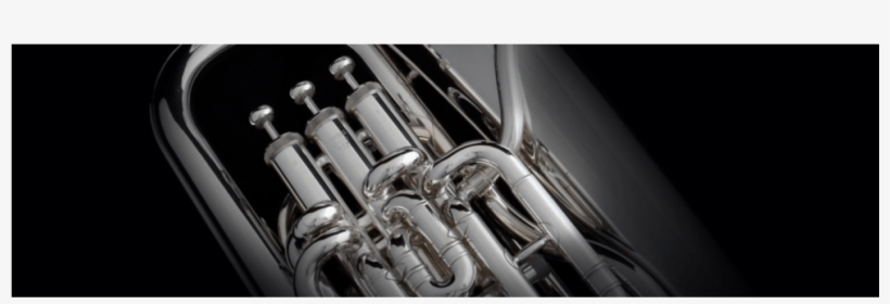 Instrumentos De Viento Fondo Pantalla, transparent png #4120679