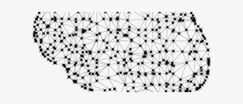 Concerns About Light's Pernicious Health Effects Are - Brain Network Ai Black White, transparent png #4120978