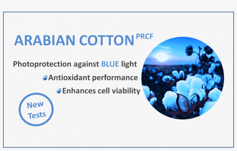 Blue Light Photoprotection - Photoprotection, transparent png #4121011