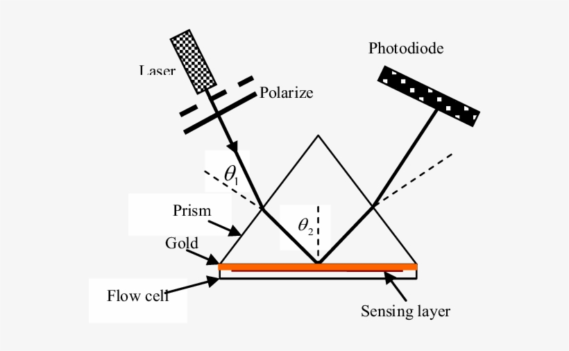 Spr Setup Consists A Laser, A Chopper, A Polarizer, - Laser, transparent png #4121727