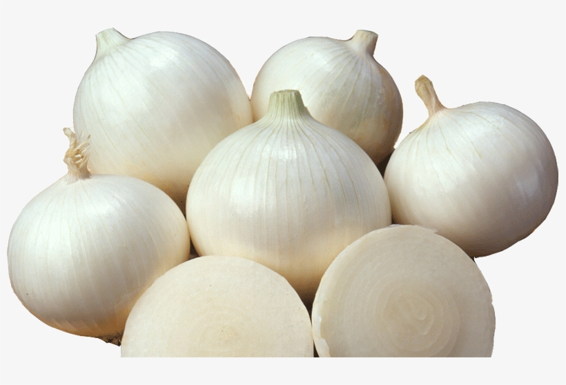 A Herbal Onion - White Castle Onion 200 Seeds #0611 Item Upc#650348691981, transparent png #4121838