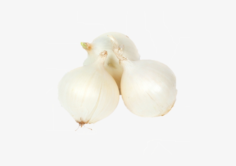 White Onions - Garlic, transparent png #4122009