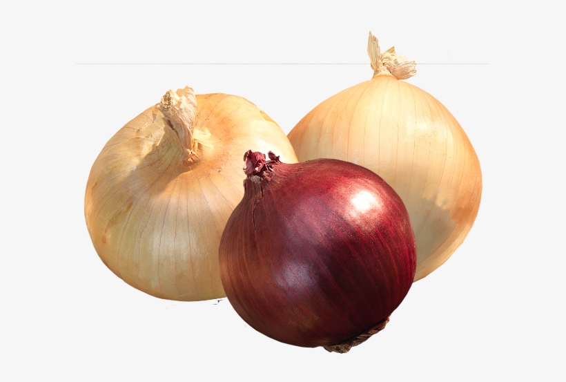 Onions - Onion, transparent png #4122737
