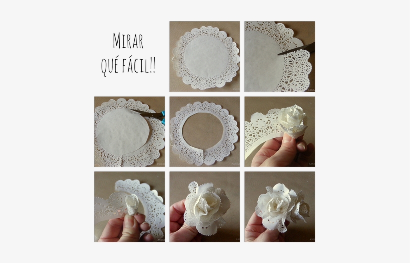 Flores Blancas Comestibles O No - Flowers With Paper Doilies, transparent png #4123370