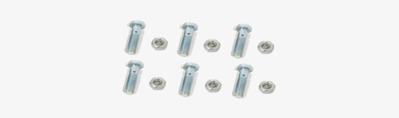 Nut, transparent png #4123581