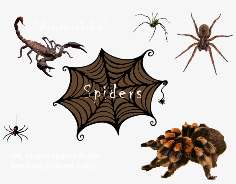 Spider Collage - Collage, transparent png #4124135