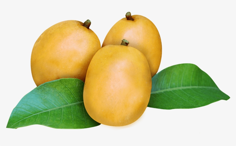 Cajá Png - Caja Em Png, transparent png #4124618
