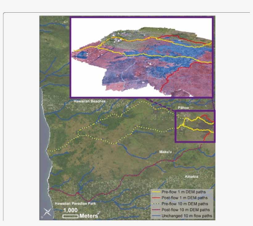 Comparison Of The Pre Lava Flow Paths The June 27th - Common Fig, transparent png #4126531
