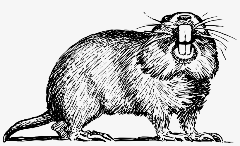 Gopher Png, transparent png #4126719