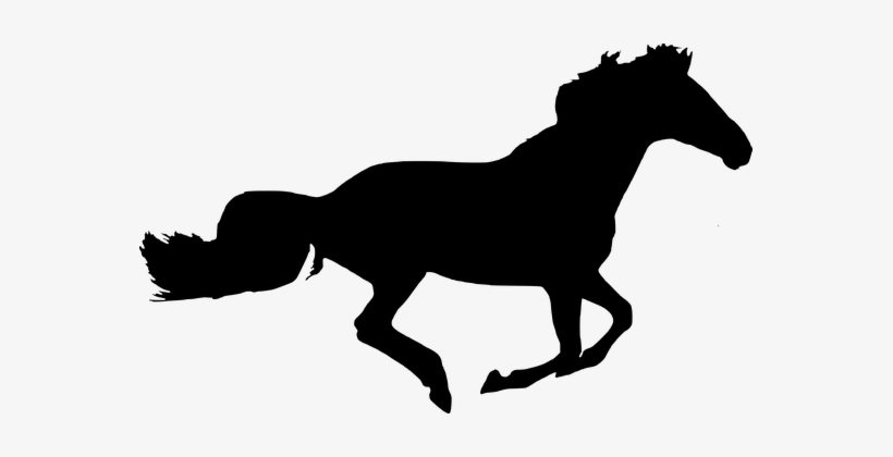 Silhouette, Horse, Isolated, Black - Sphynx Cat Clip Art, transparent png #4127048