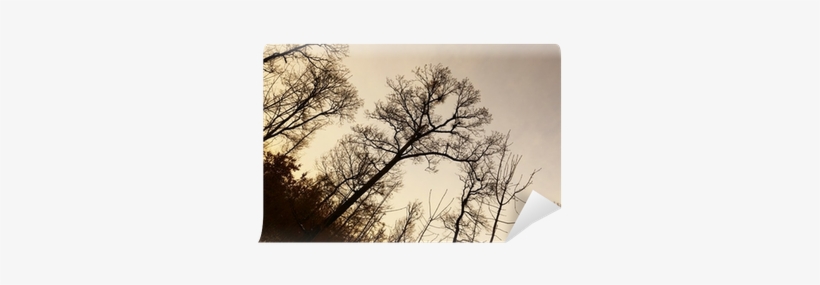 Stock Photography, transparent png #4127163