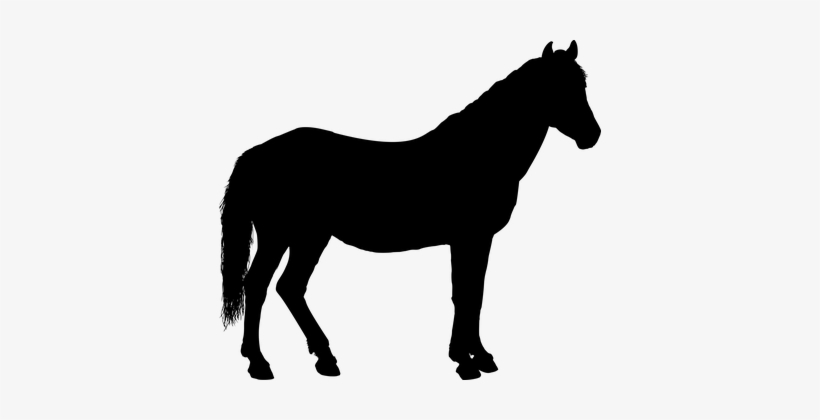 Horse, Silhouette - - Horse Silhouette Png, transparent png #4127275