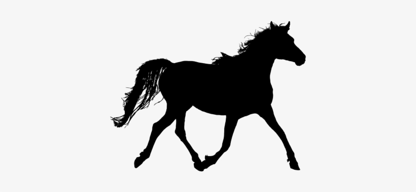 And - Arabian Horse Clip Art, transparent png #4127542