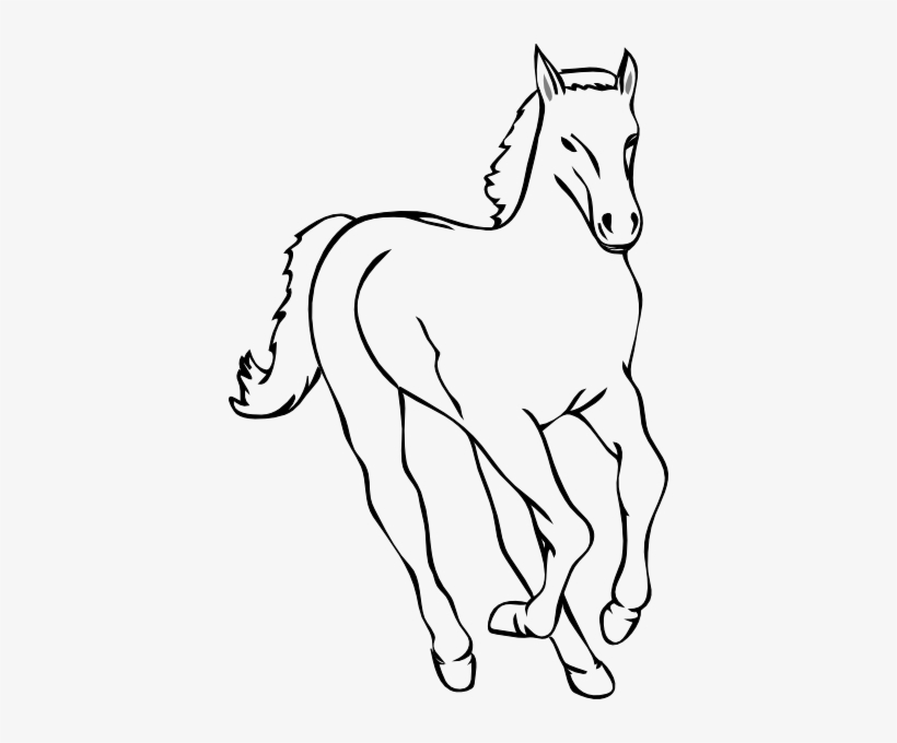 Horse Outline Clip Art - Horse Outline, transparent png #4127570