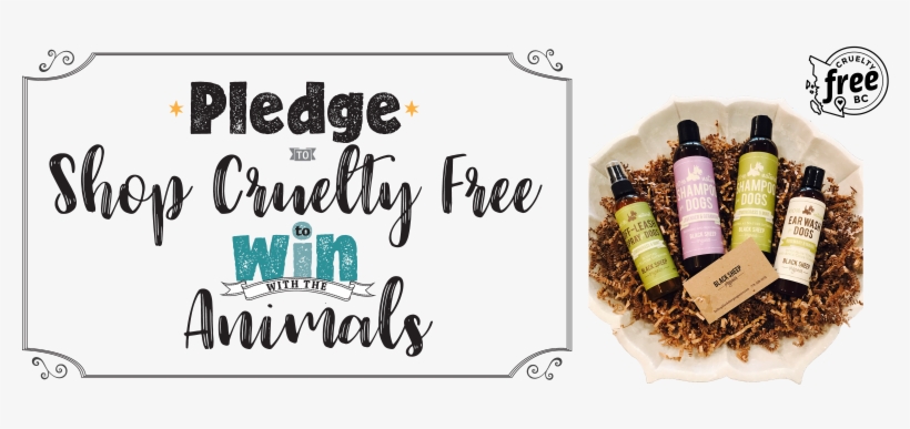 Cruelty Free Bc Pledge - Calligraphy, transparent png #4128294