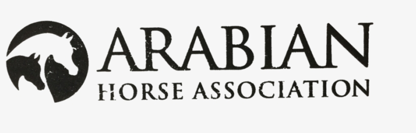 Distressed Aha Rectangle Black - Arabian Horse Association Logo, transparent png #4128485