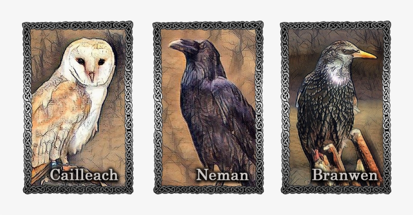 Raven-animalcompanions - Portable Network Graphics, transparent png #4129215