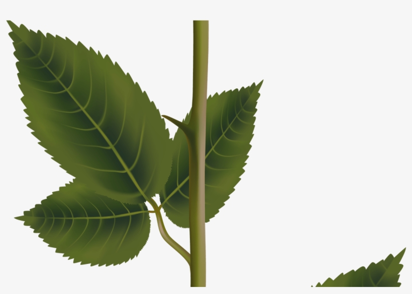 Pink Rose With Stem Png Transparent Clip Art Image - Clip Art, transparent png #4129483