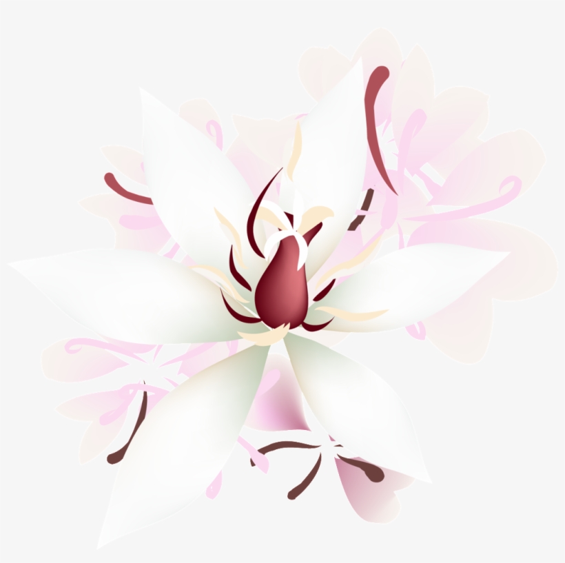 Petalos De Rosa Transparente Png Decorativo - Portable Network Graphics, transparent png #4129621