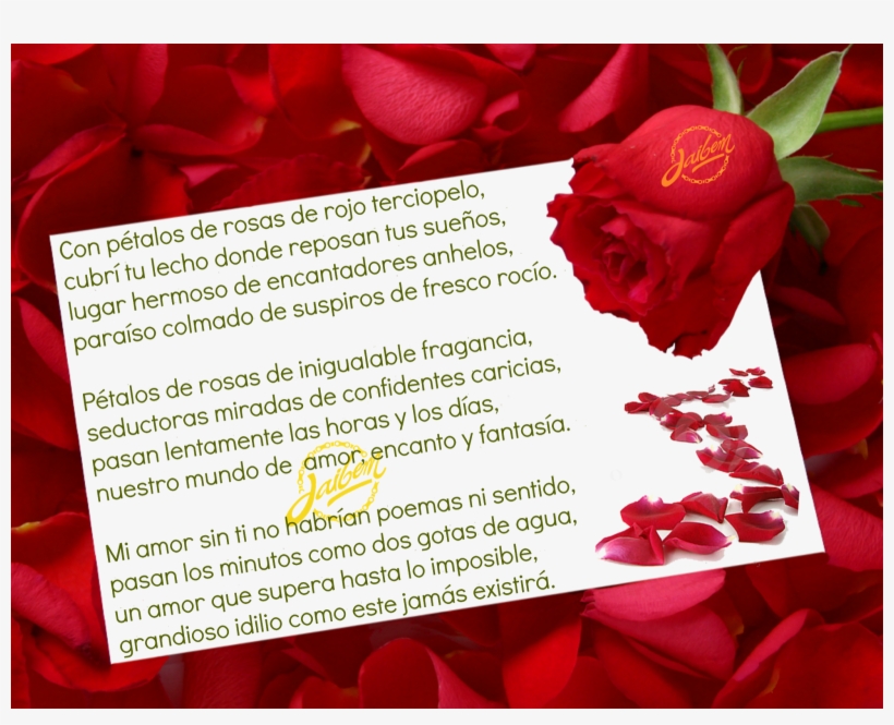 Entre Pétalos De Rosas - White Paper With Red Rose, transparent png #4129714
