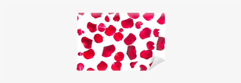 Crimson, transparent png #4129968