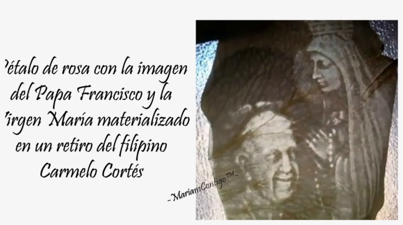 Late Ancestors Shower Curtain, transparent png #4130102