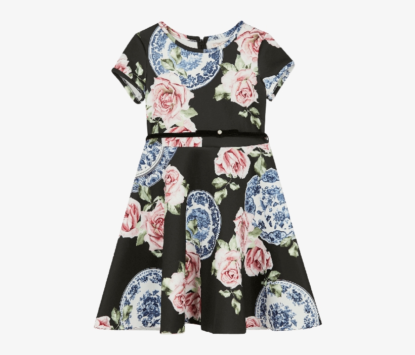 Dress, transparent png #4130161