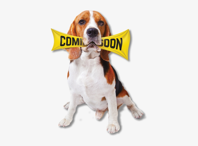 Puppy Chew Toys For Boredom Rawhide Bone Medium Breeds, transparent png #4130370