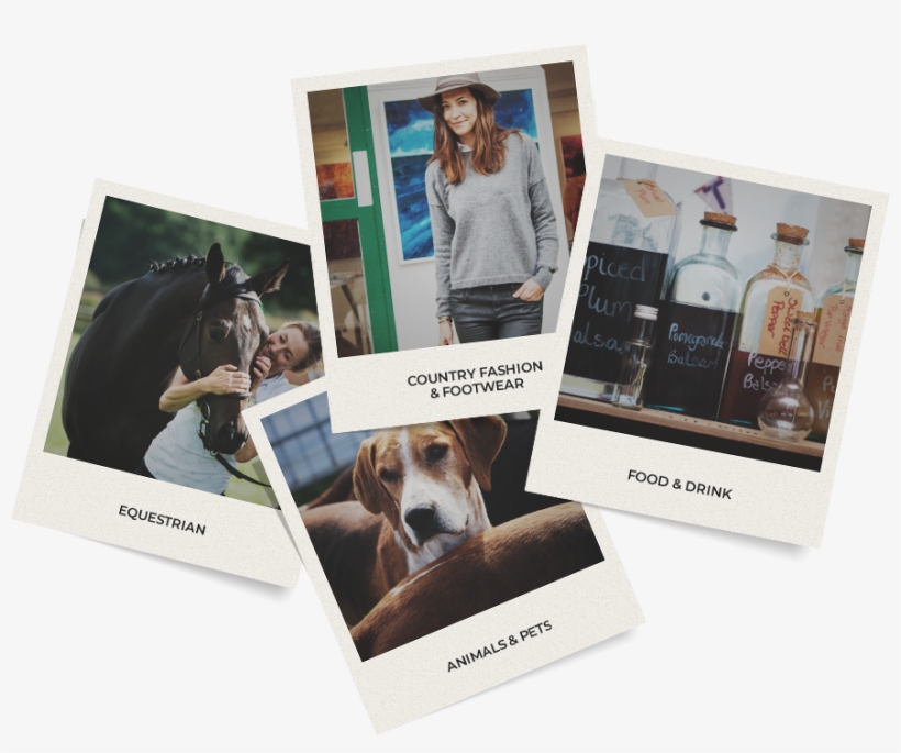 Shop Till You Drop - Treeing Walker Coonhound, transparent png #4130416