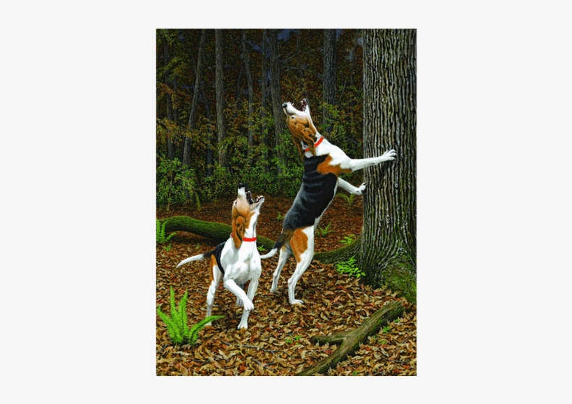 Walker Treeing, transparent png #4130462