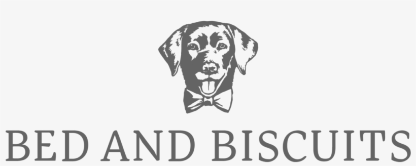 Bed And Biscuits Stacked Dark Gray - Dalmatian, transparent png #4130653