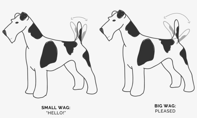 Wagging Tails - Movement - Ancient Dog Breeds, transparent png #4130836