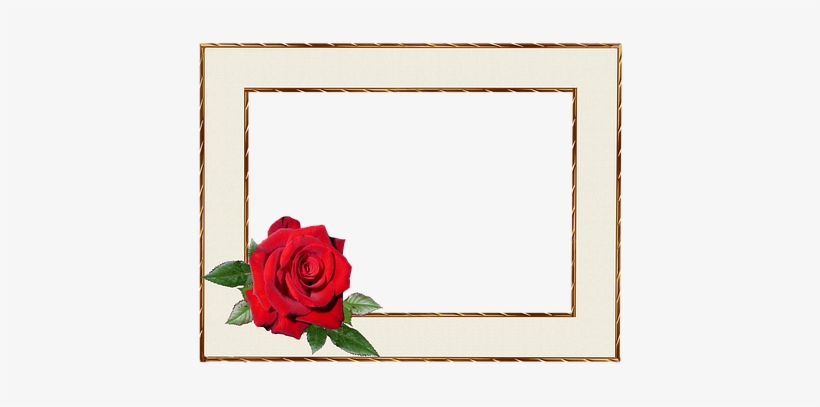 ברכות ליום הולדת לסבתא, transparent png #4132058