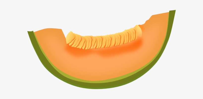 Cantaloupe - Cantaloupe With Transparent Background, transparent png #4132104