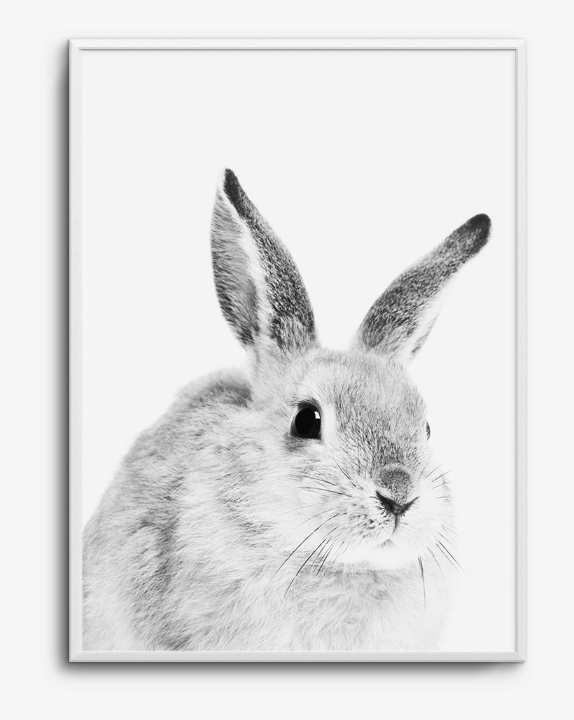Baby Bunny - Cushion Co - Rabbit Brown Pillow 16" X 12", transparent png #4132254