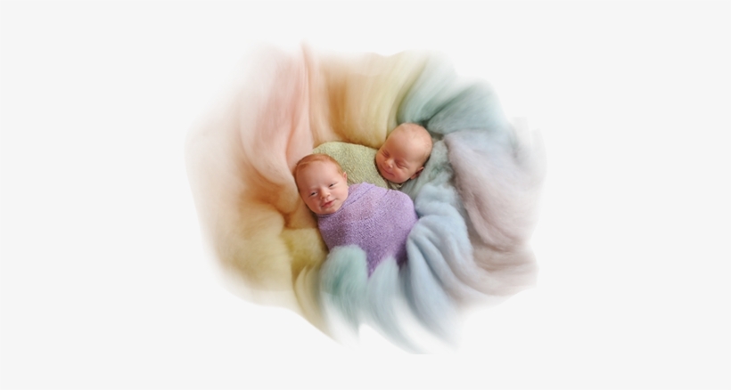 Website - Roots And Wings Photography, transparent png #4132452