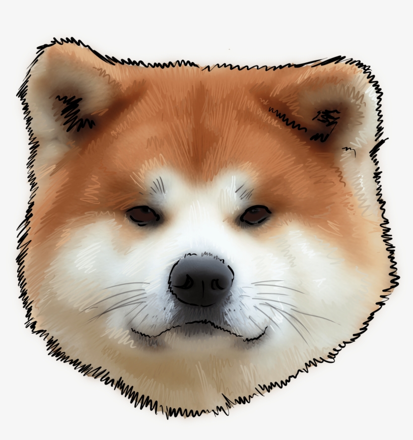 43 Why Are You An Akita - Cachorro De Akita Inu, transparent png #4133099