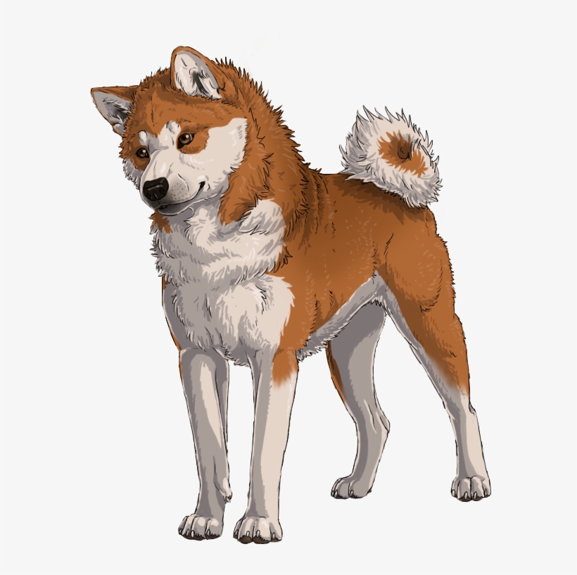 Commission - Japanese Akita - Fur, transparent png #4133384