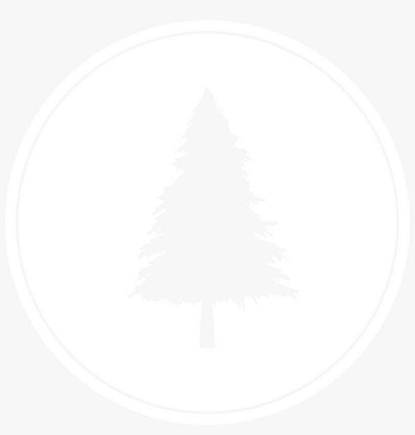 Lone Pine Brewing Company Lone Pine Brewing Company - Lone Pine Brewery Logo, transparent png #4133482