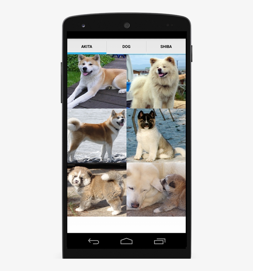 Akita Secrets: A Guide To Akita Training, transparent png #4133630