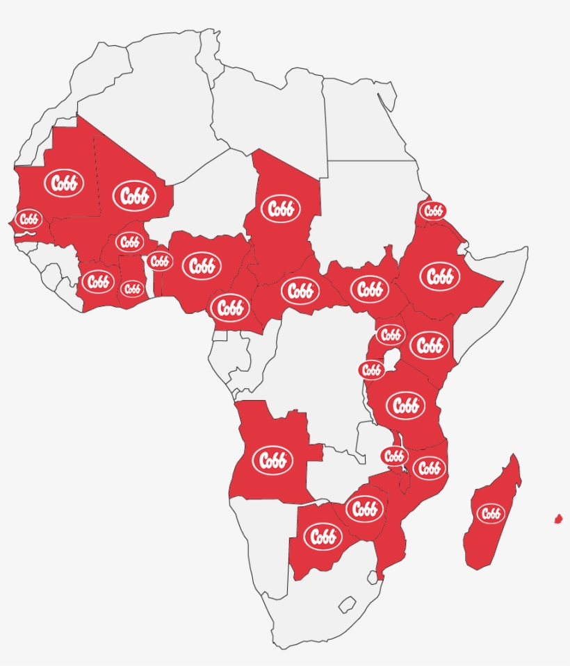 Within The Cobb Family We Have Our Own Cobb Africa - Atlas, transparent png #4133768