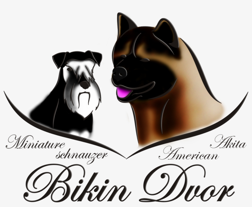 Add A Dog - Return Of Beyonc - Van Vicker, Nadia Buari - African, transparent png #4133922