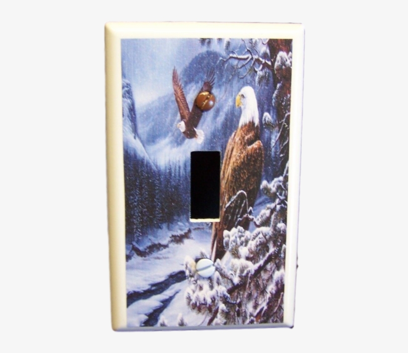 Got You Covered Eagle Snow Top Rocky Mountains Pine - Snow, transparent png #4134139