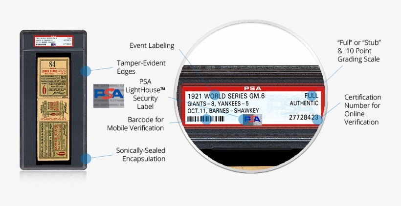 Elite Protection For Your Ticket Collection - Anatomy, transparent png #4134236