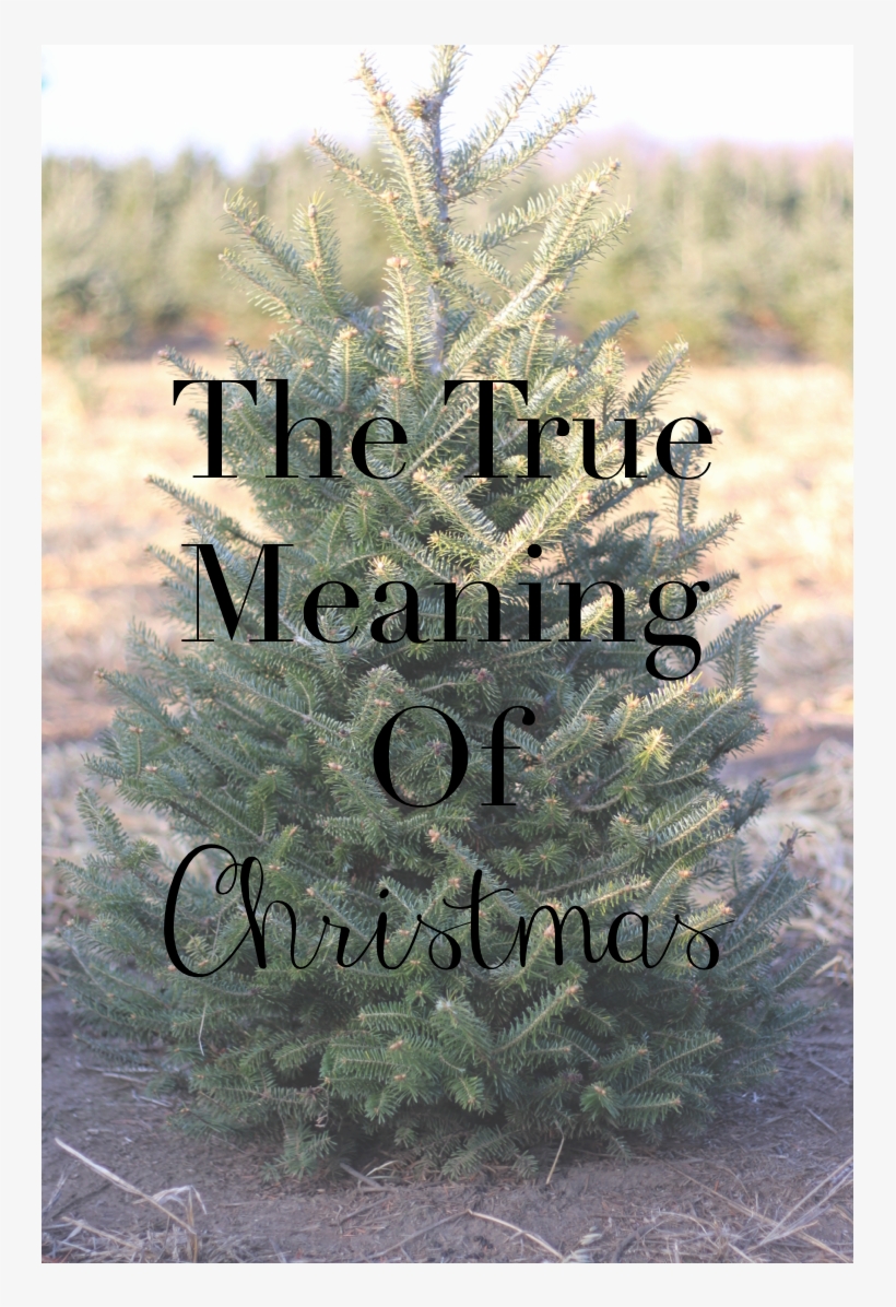 The True Meaning Of Christmas - Johnnyboyxo Touch Me, transparent png #4134817