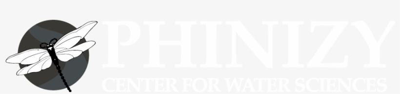 Win From Within By Beverly Lewis, transparent png #4135566