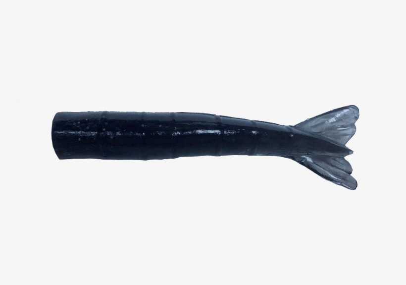 Shrimp Tails - Beloniformes, transparent png #4135643