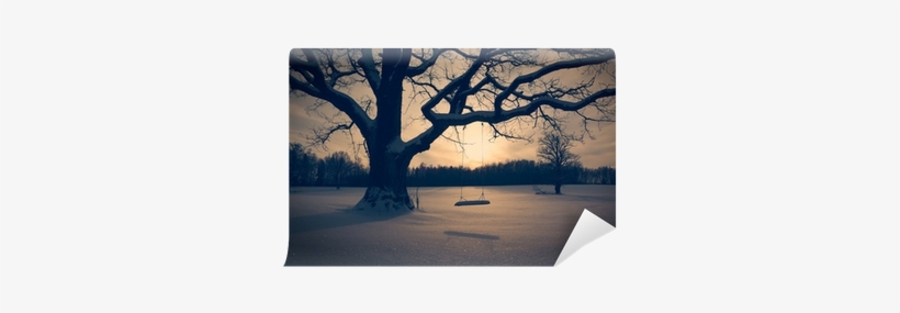 Winter Landscape With Abandoned Tree Swing Wall Mural - Salincak Manzara Resmi, transparent png #4135716