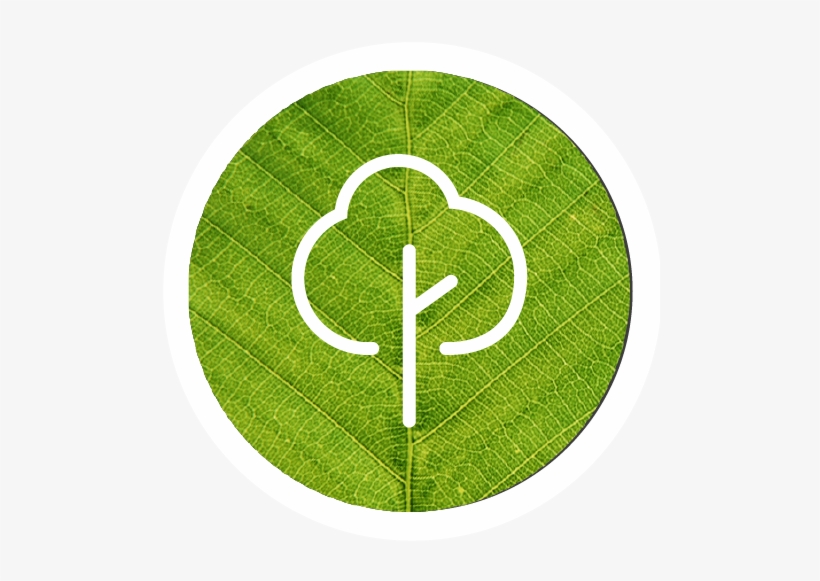 760 - Emblem, transparent png #4136241