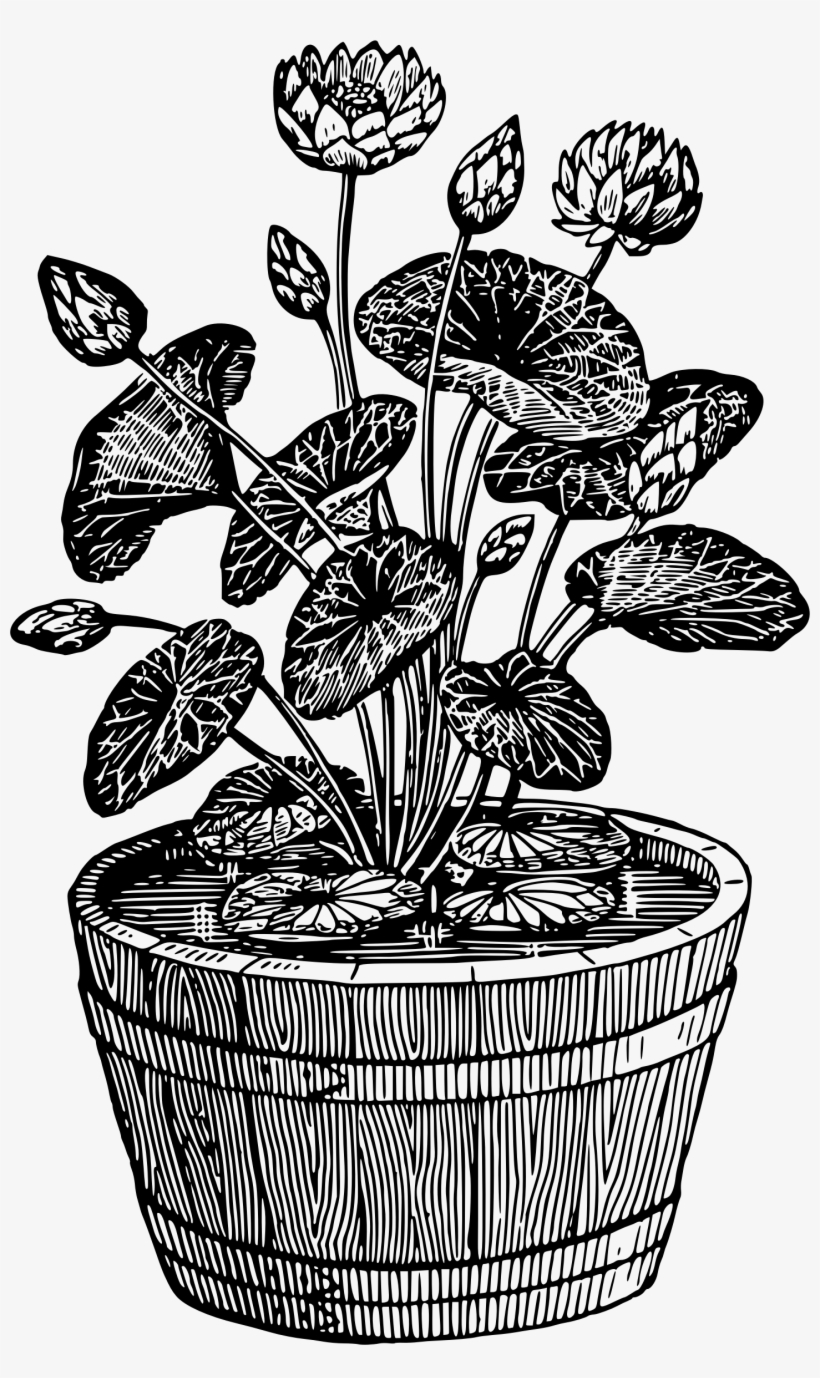 Big Image - Black And White Potted Plant, transparent png #4136348
